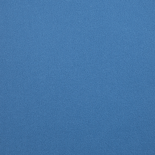 Blueberry 2149