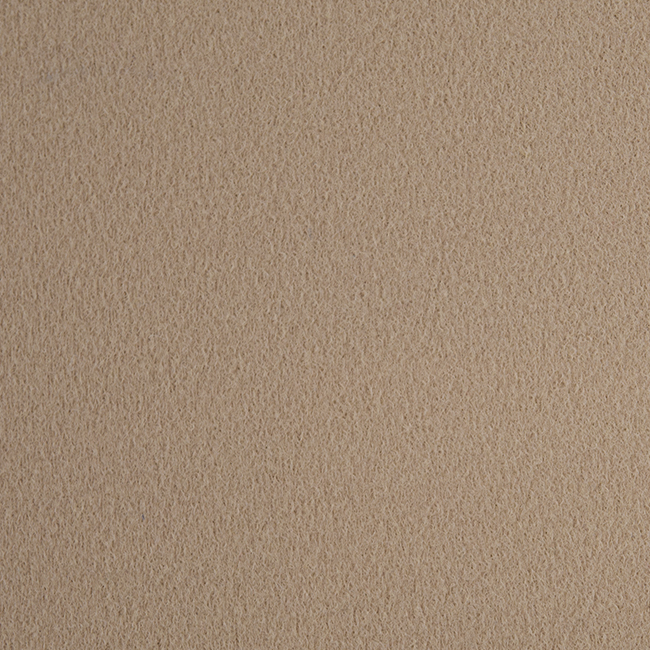 Camel II 6L71